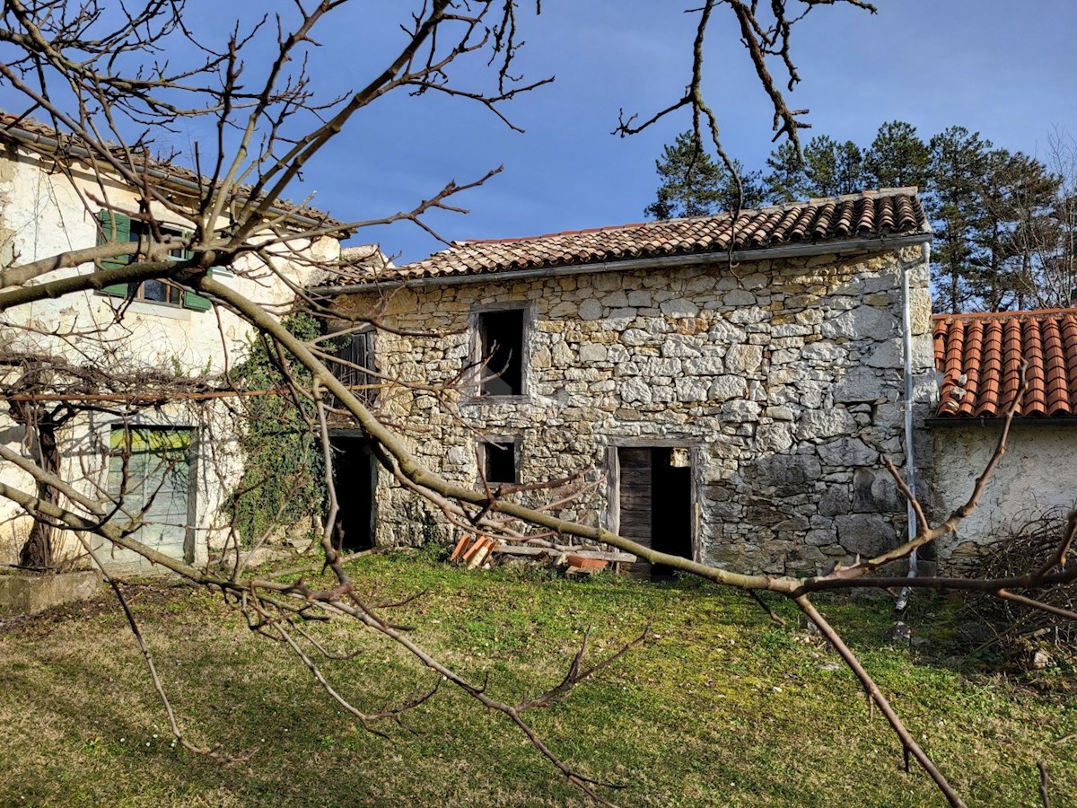 House For sale - ISTARSKA BUZET