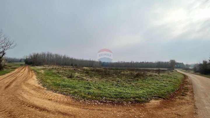 Zemljište na prodaju 8929 m² – Kaštelir
