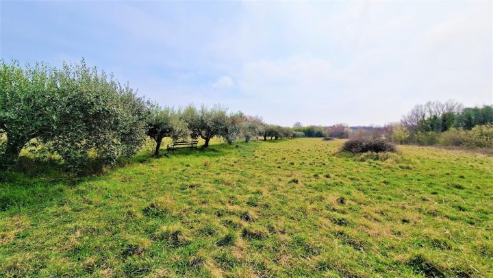 Land for sale 1367 m² – Umag