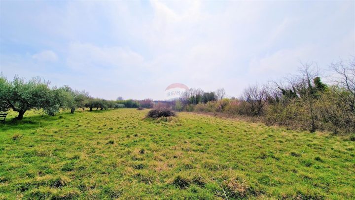 Land For sale - Istarska Umag - foto 2/6