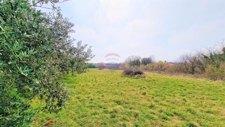 Land For sale - Istarska Umag - foto 4/6