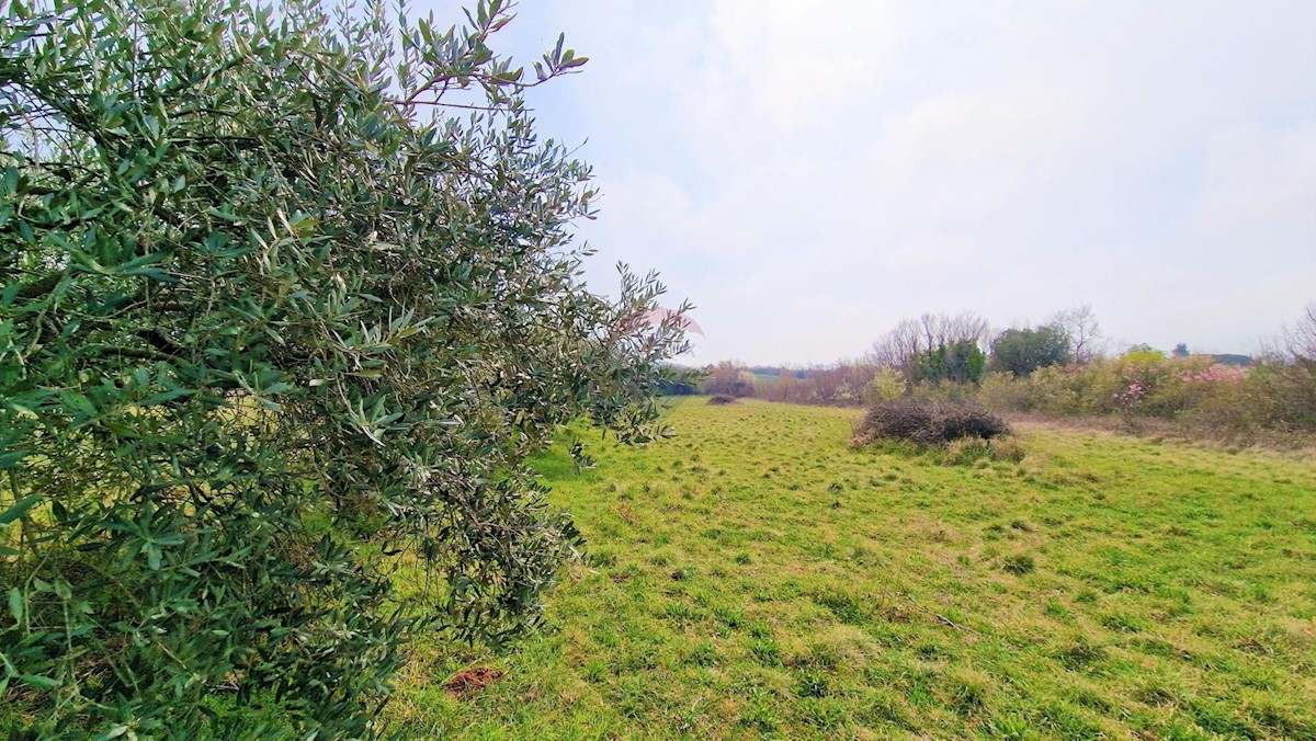 Parcela Na predaj - ISTARSKA UMAG