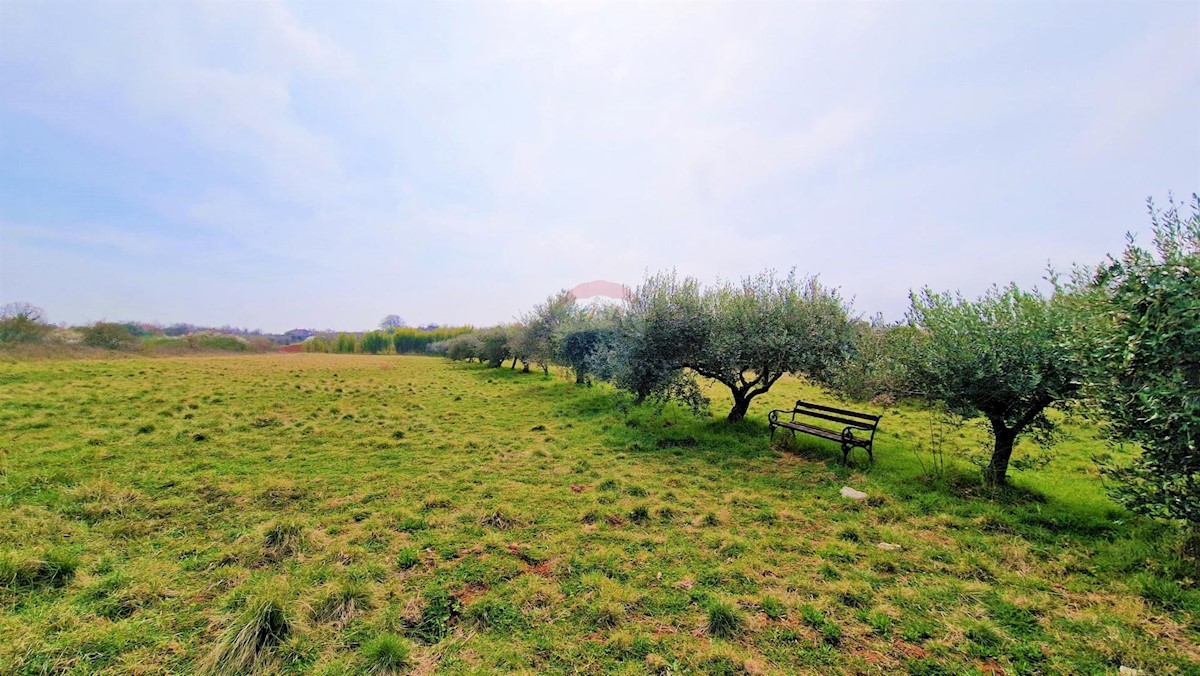 Parcela Na predaj - ISTARSKA UMAG