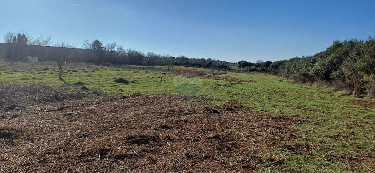 Terreno In vendita - ISTARSKA PULA