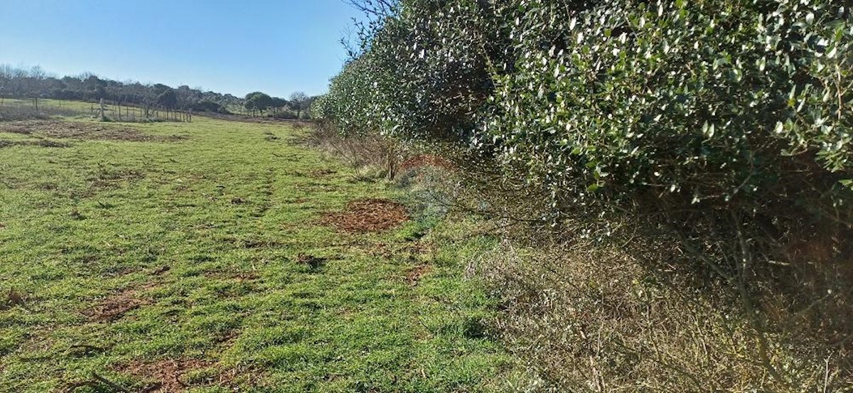 Land For sale - ISTARSKA Pula