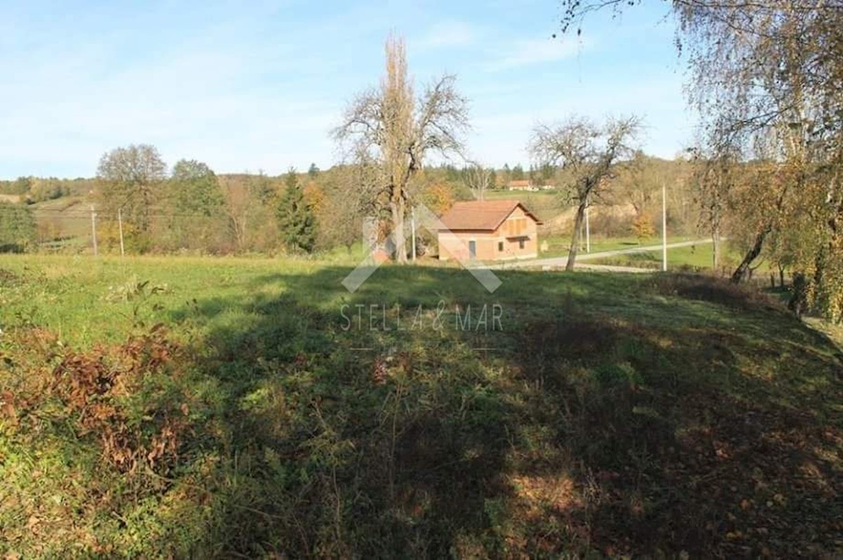 Terrain À vendre - Bjelovarsko-bilogorska čazma - foto 2/9