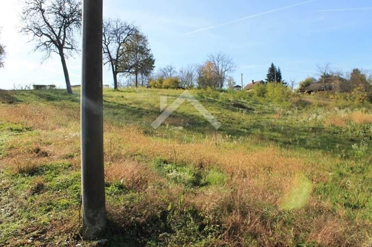 Terrain À vendre - Bjelovarsko-bilogorska čazma - foto 3/9