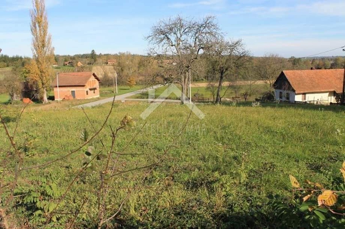 Terrain À vendre - Bjelovarsko-bilogorska čazma - foto 4/9