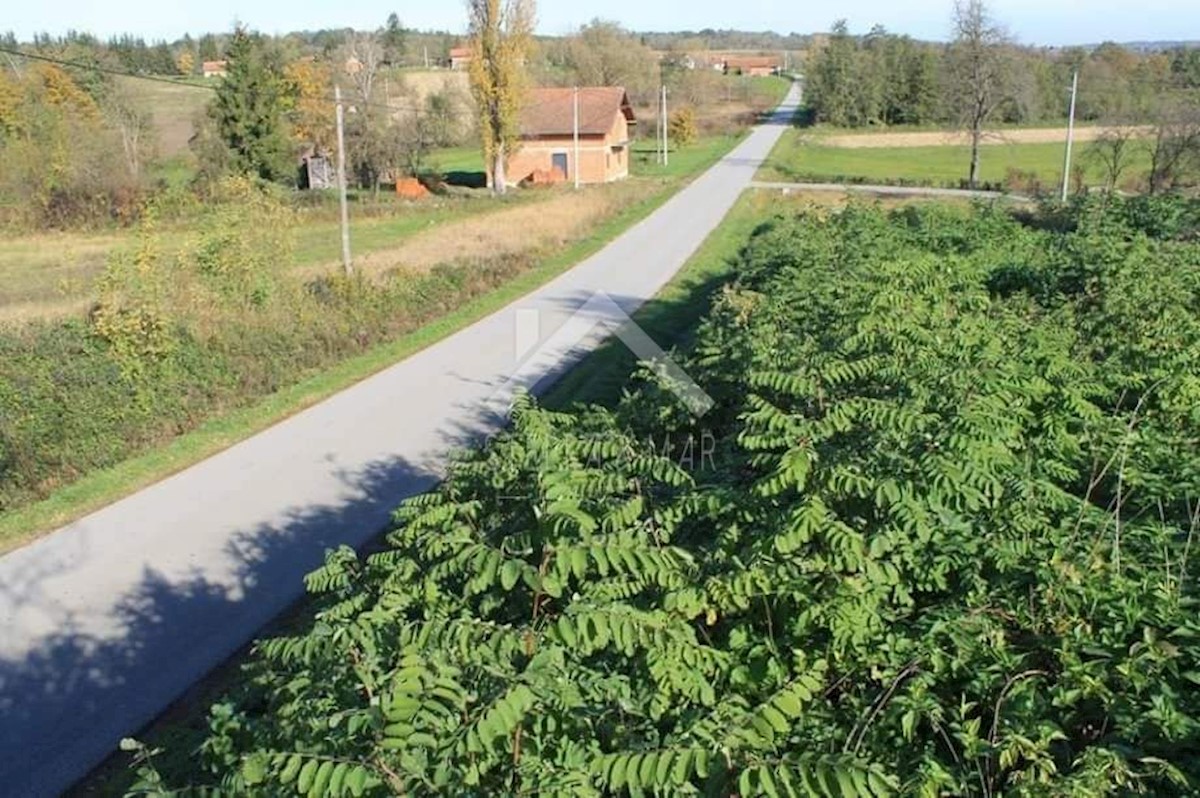Terrain À vendre - Bjelovarsko-bilogorska čazma - foto 5/9