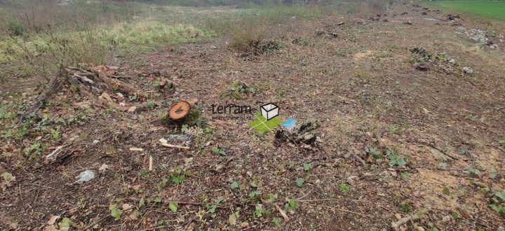 Grundstück Zu verkaufen - Istarska Barban - foto 2/4