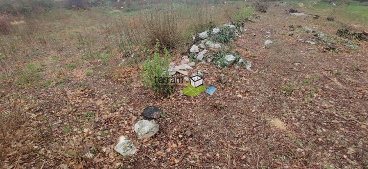 Grundstück Zu verkaufen - Istarska Barban - foto 3/4