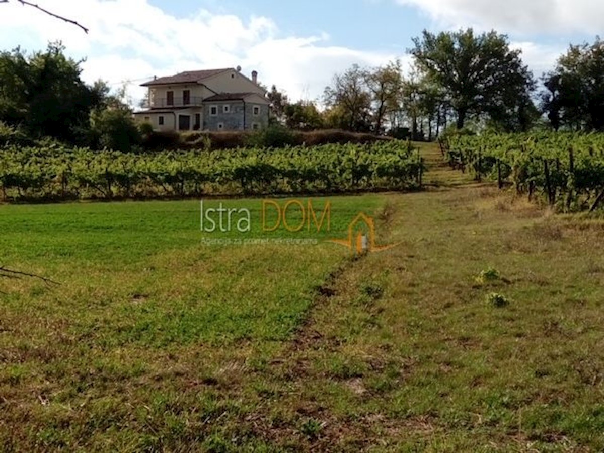 House For sale - ISTARSKA PAZIN