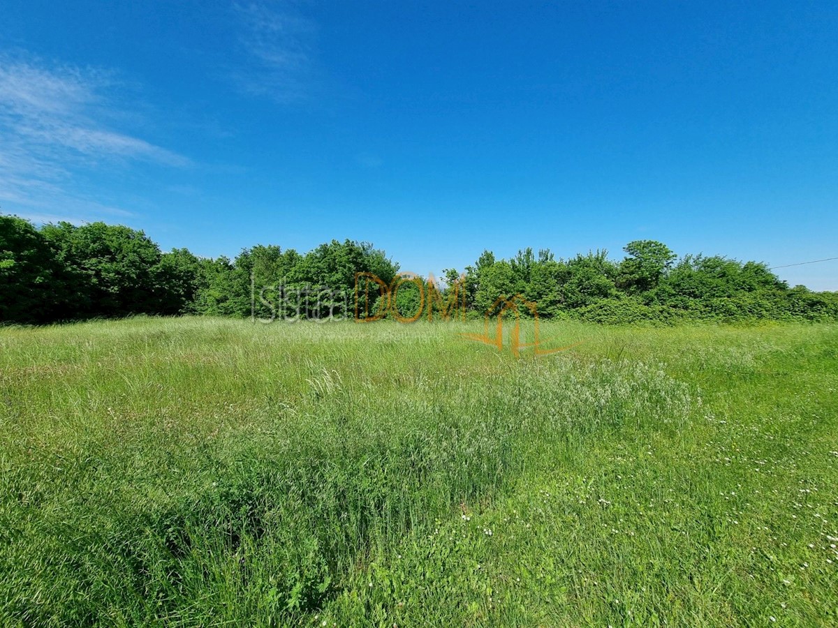 Land For sale ORIHI