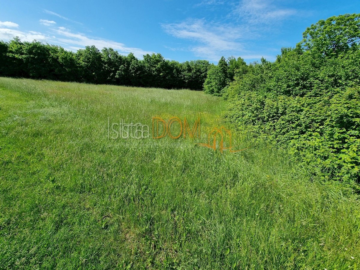 Land For sale - ISTARSKA BARBAN