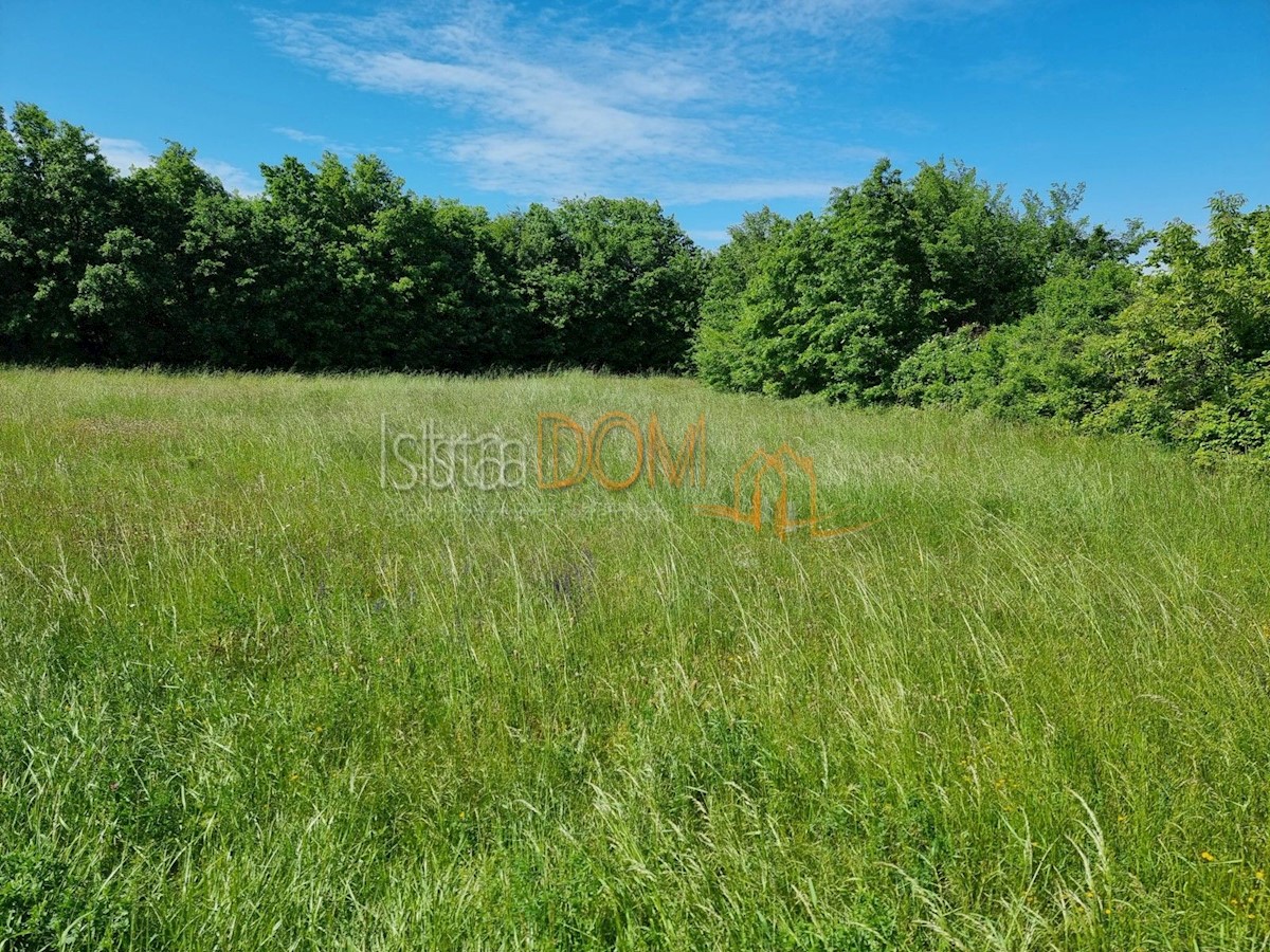 Land For sale - ISTARSKA BARBAN