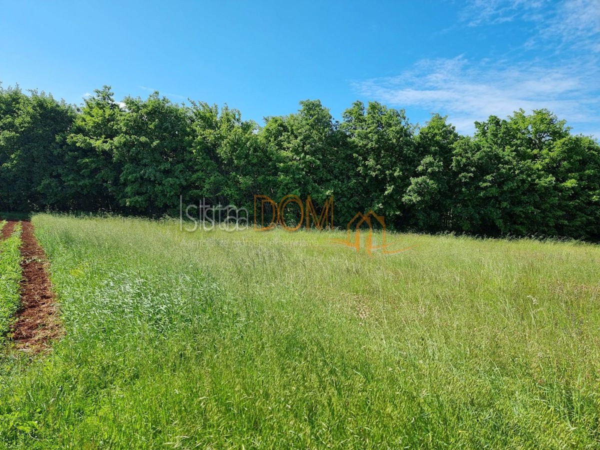 Land For sale - ISTARSKA BARBAN