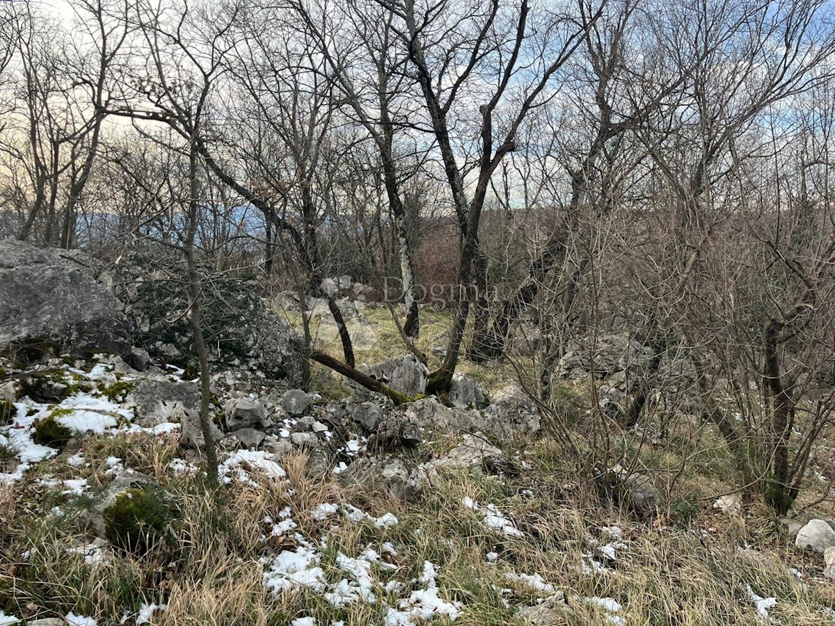 Dom Na sprzedaż - PRIMORSKO-GORANSKA Čavle