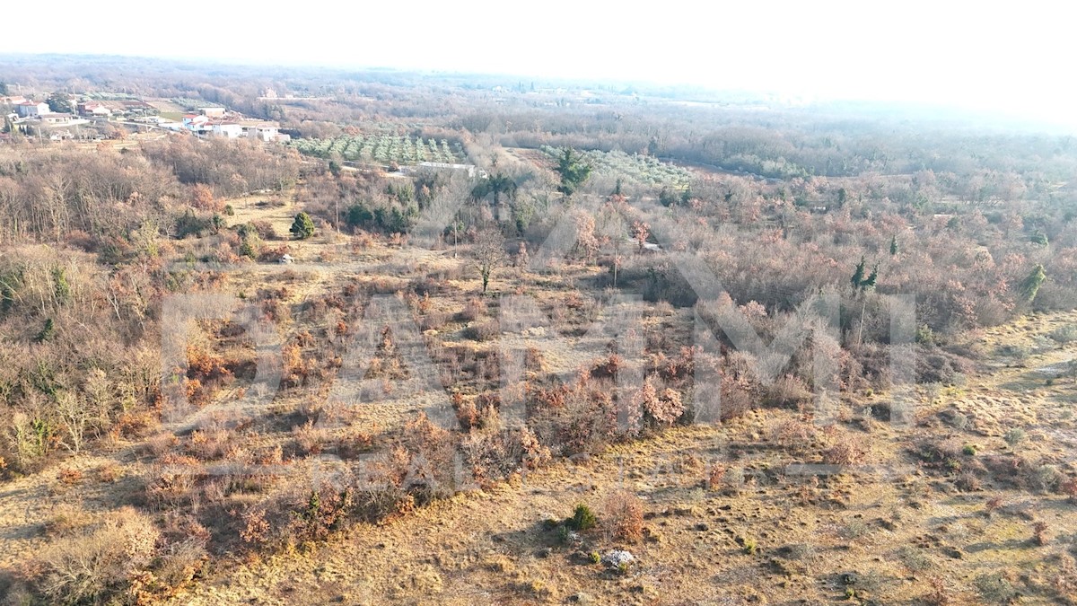 Terrain À vendre - Istarska Svetvinčenat