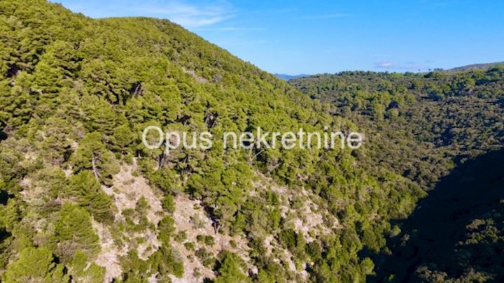 Parcela Naprodaj - Dubrovačko-neretvanska Korčula - foto 2/13