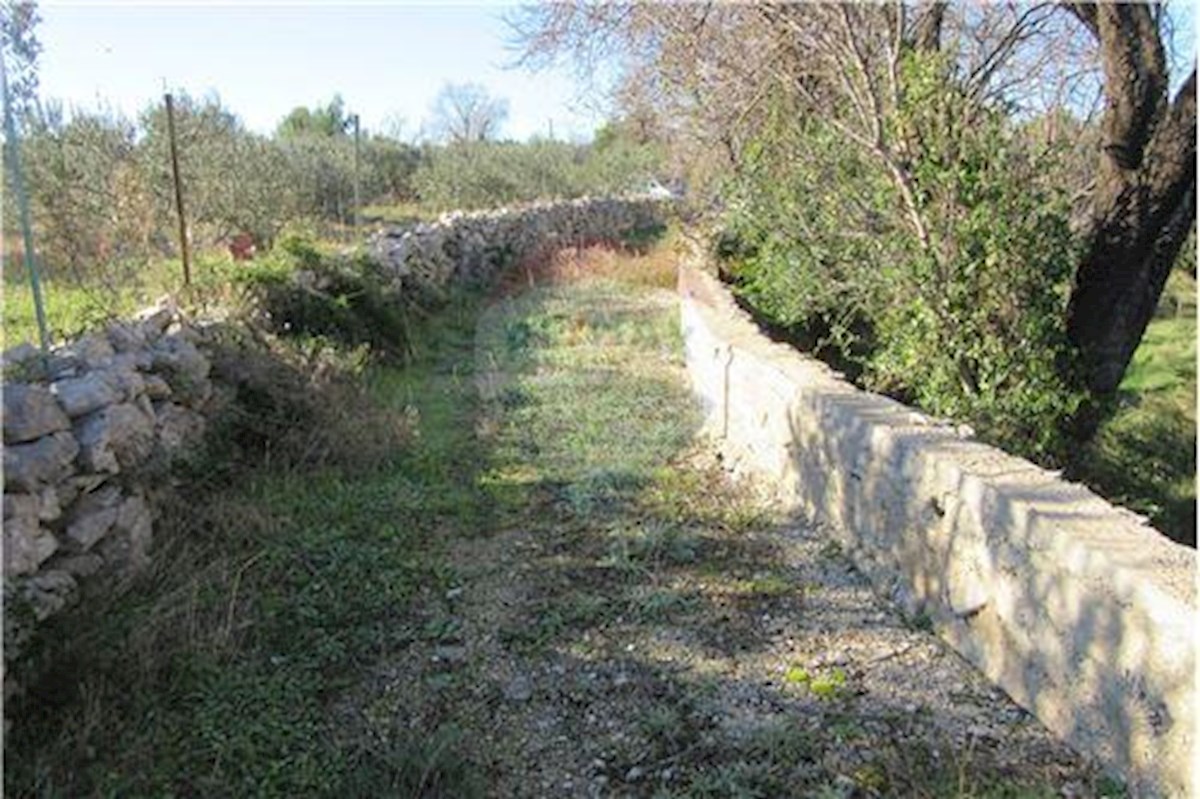 Land For sale - SPLITSKO-DALMATINSKA BRAČ