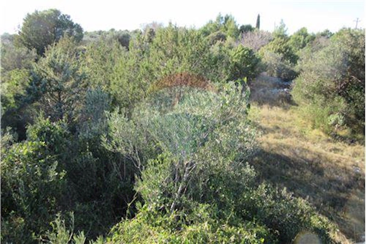 Land For sale - SPLITSKO-DALMATINSKA BRAČ