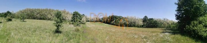 Land for sale 36332 m² – Gračišće