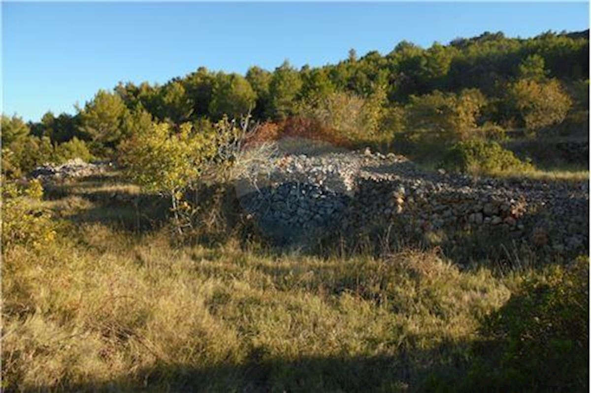 Terrain À vendre