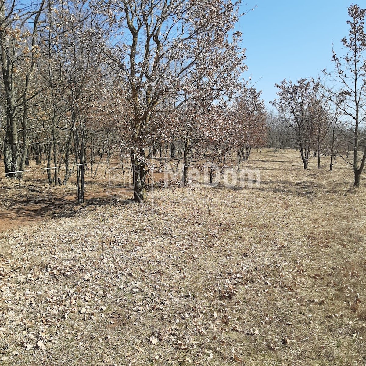 Land For sale - ISTARSKA GRAČIŠĆE