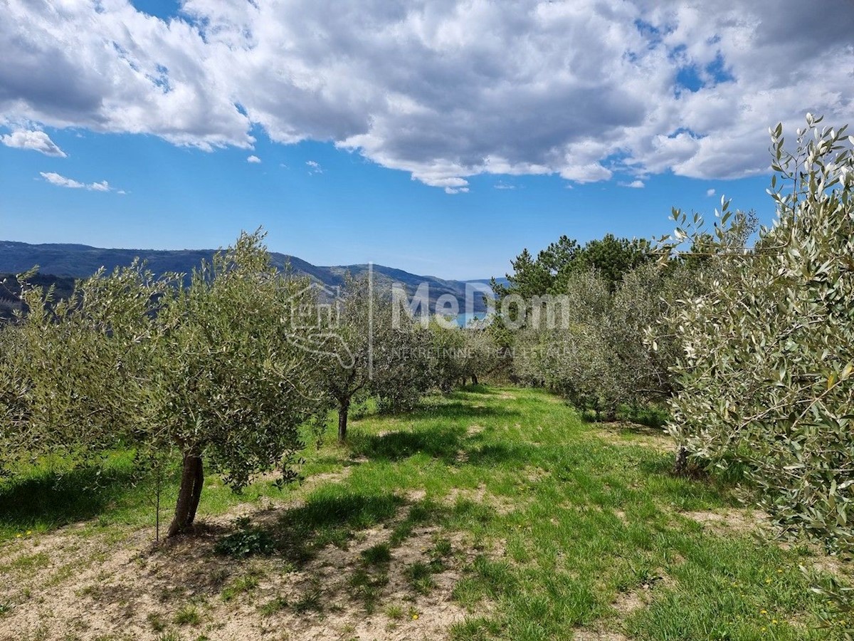 Land For sale - ISTARSKA CEROVLJE