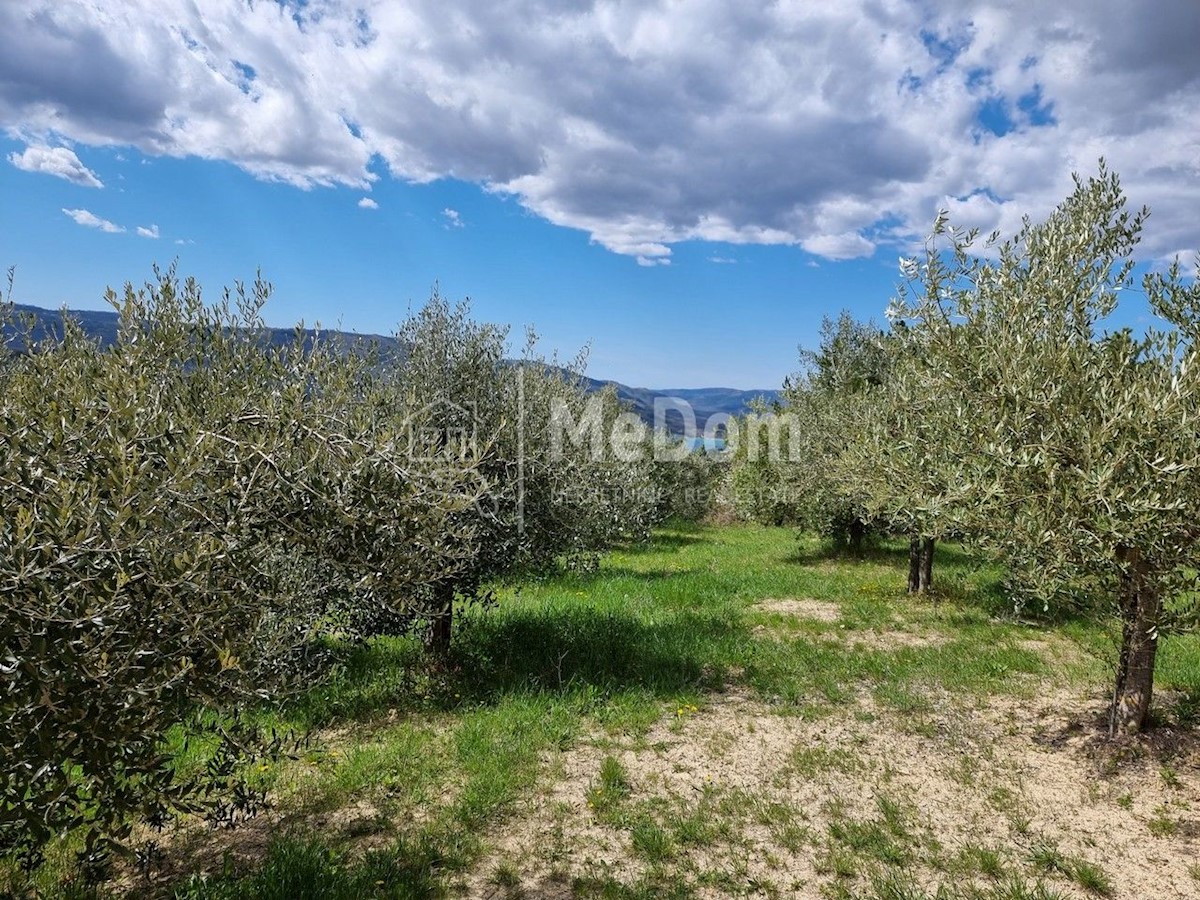 Terreno In vendita - ISTARSKA CEROVLJE