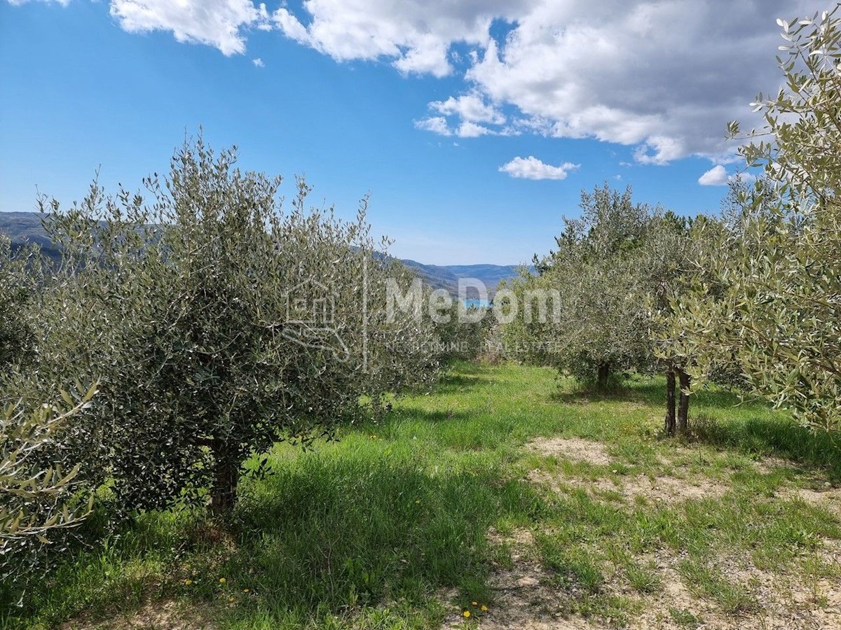 Terreno In vendita - ISTARSKA CEROVLJE