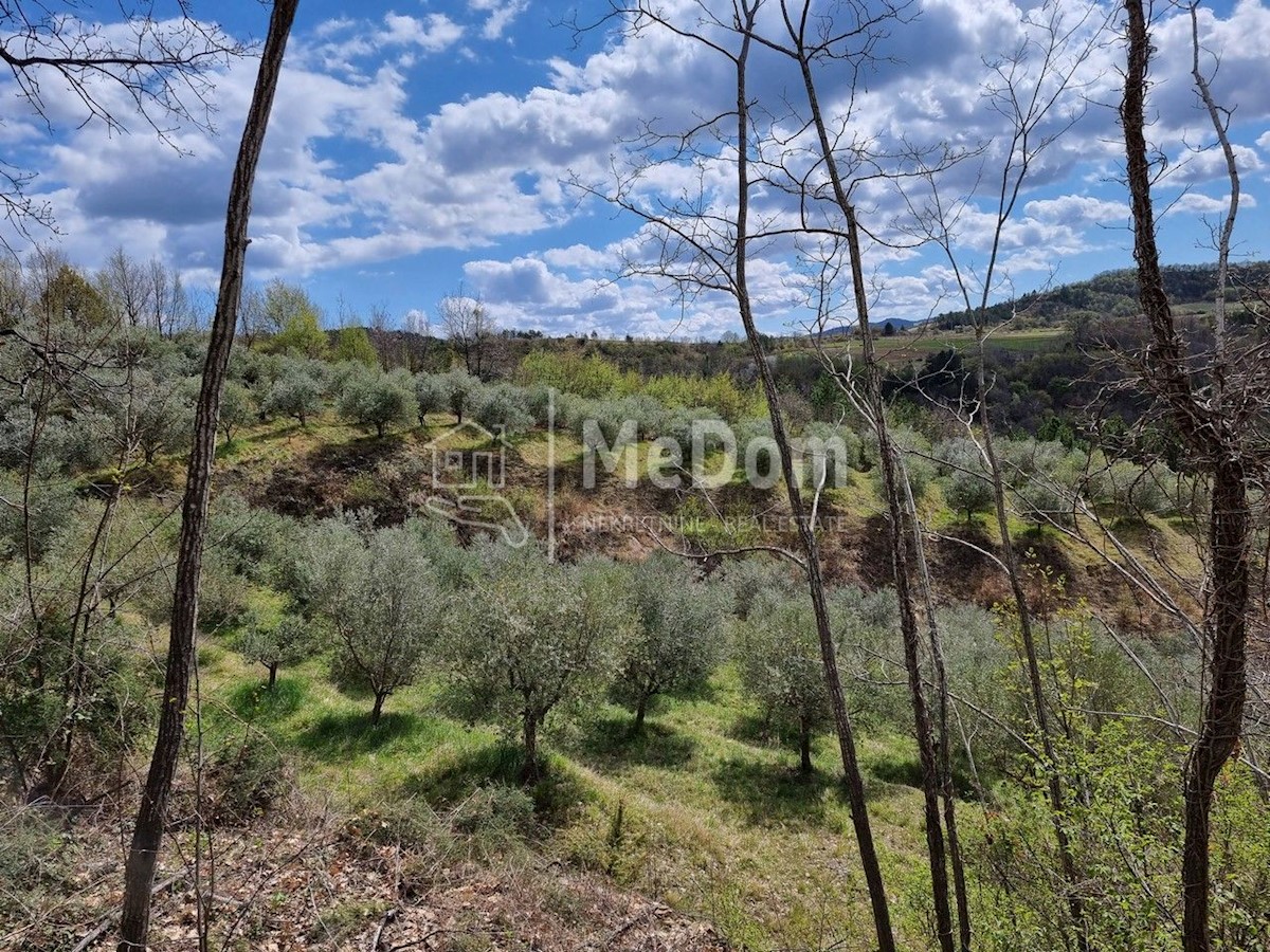 Land For sale - ISTARSKA CEROVLJE