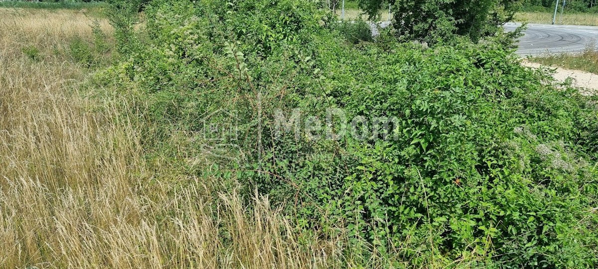 Land For sale - ISTARSKA BARBAN