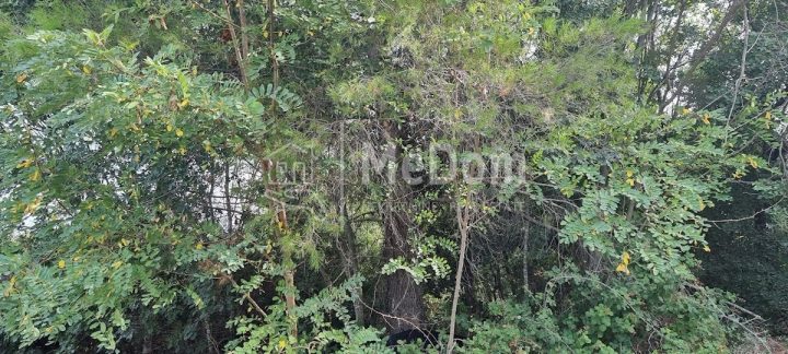 Land For sale - Istarska Pula - foto 4/5