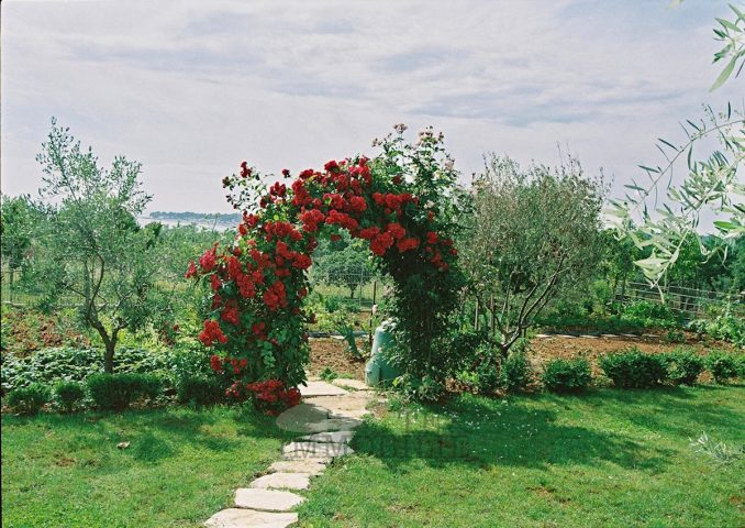 Casa In vendita - Istarska Poreč - foto 5/20