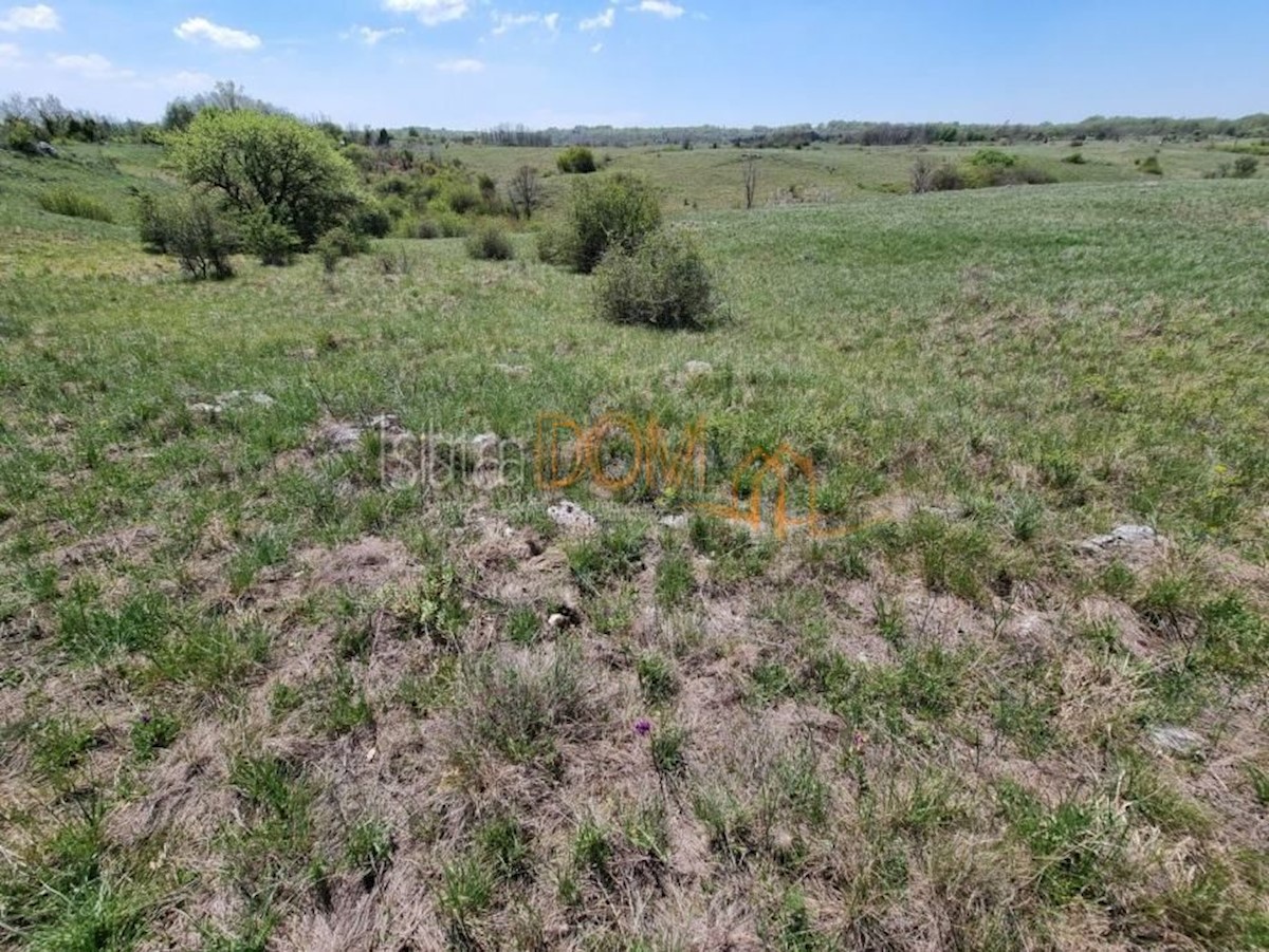 Land For sale - ISTARSKA ŽMINJ