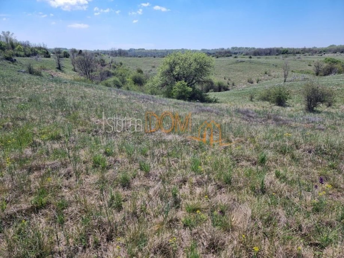 Land For sale - ISTARSKA ŽMINJ