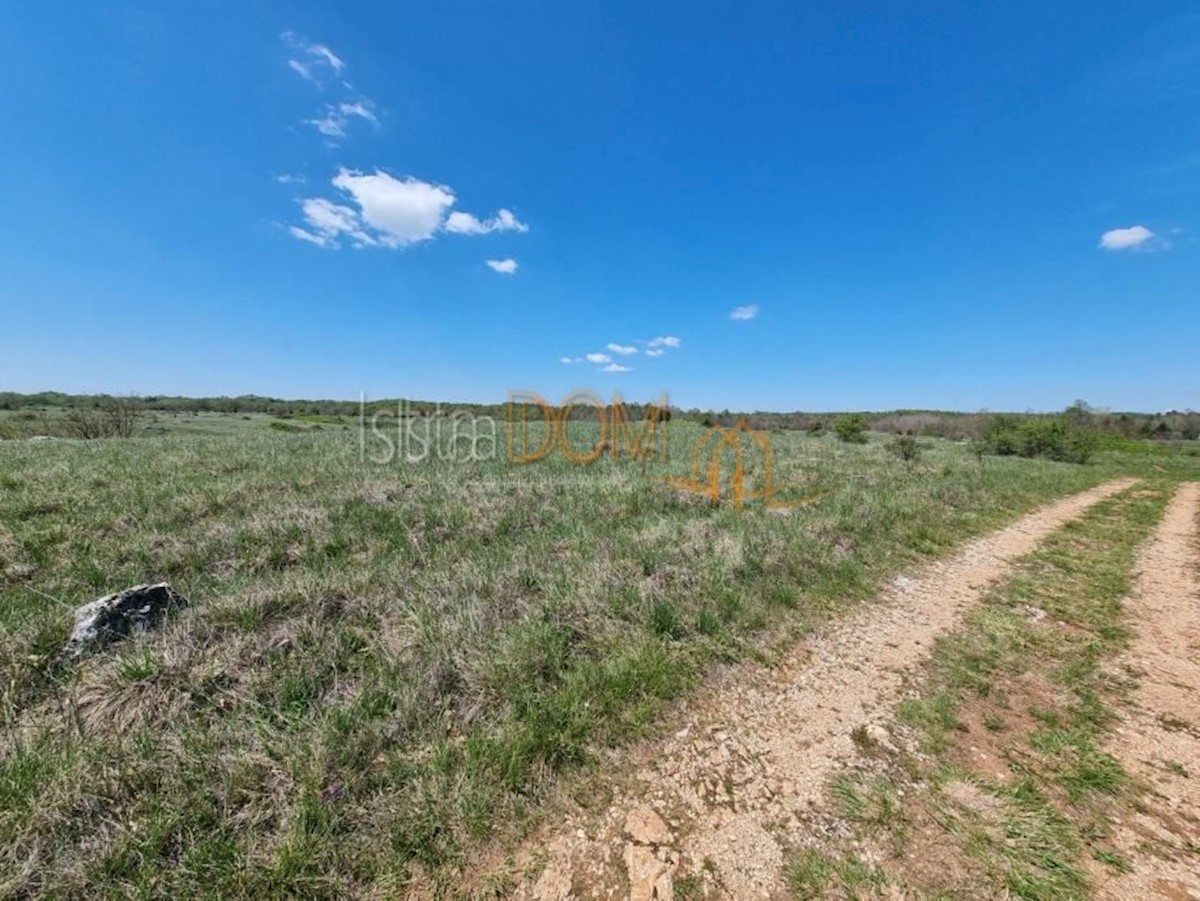 Land For sale - ISTARSKA ŽMINJ