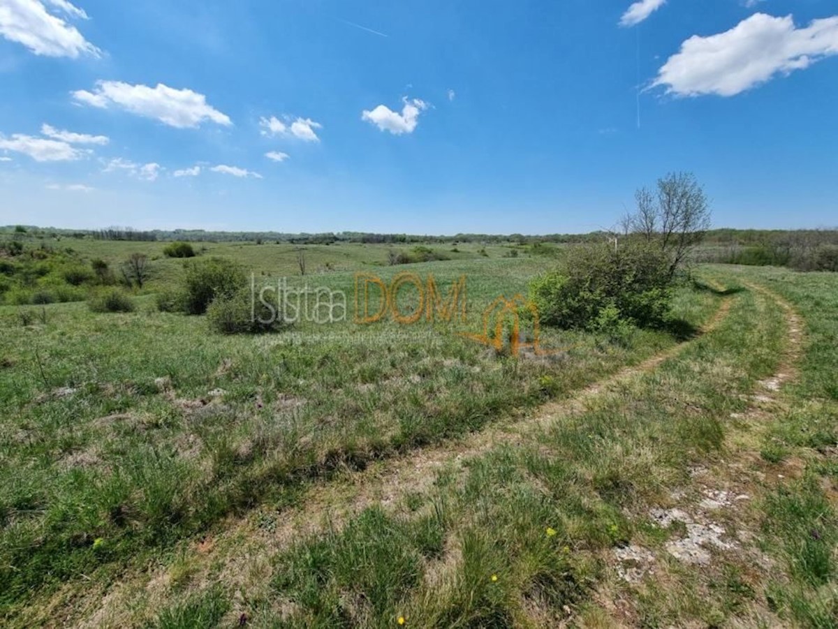 Land For sale - ISTARSKA ŽMINJ