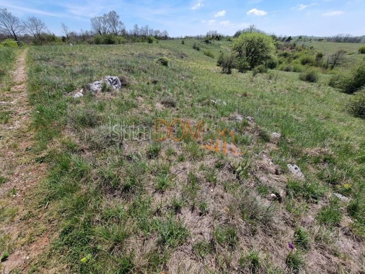 Land For sale - ISTARSKA ŽMINJ