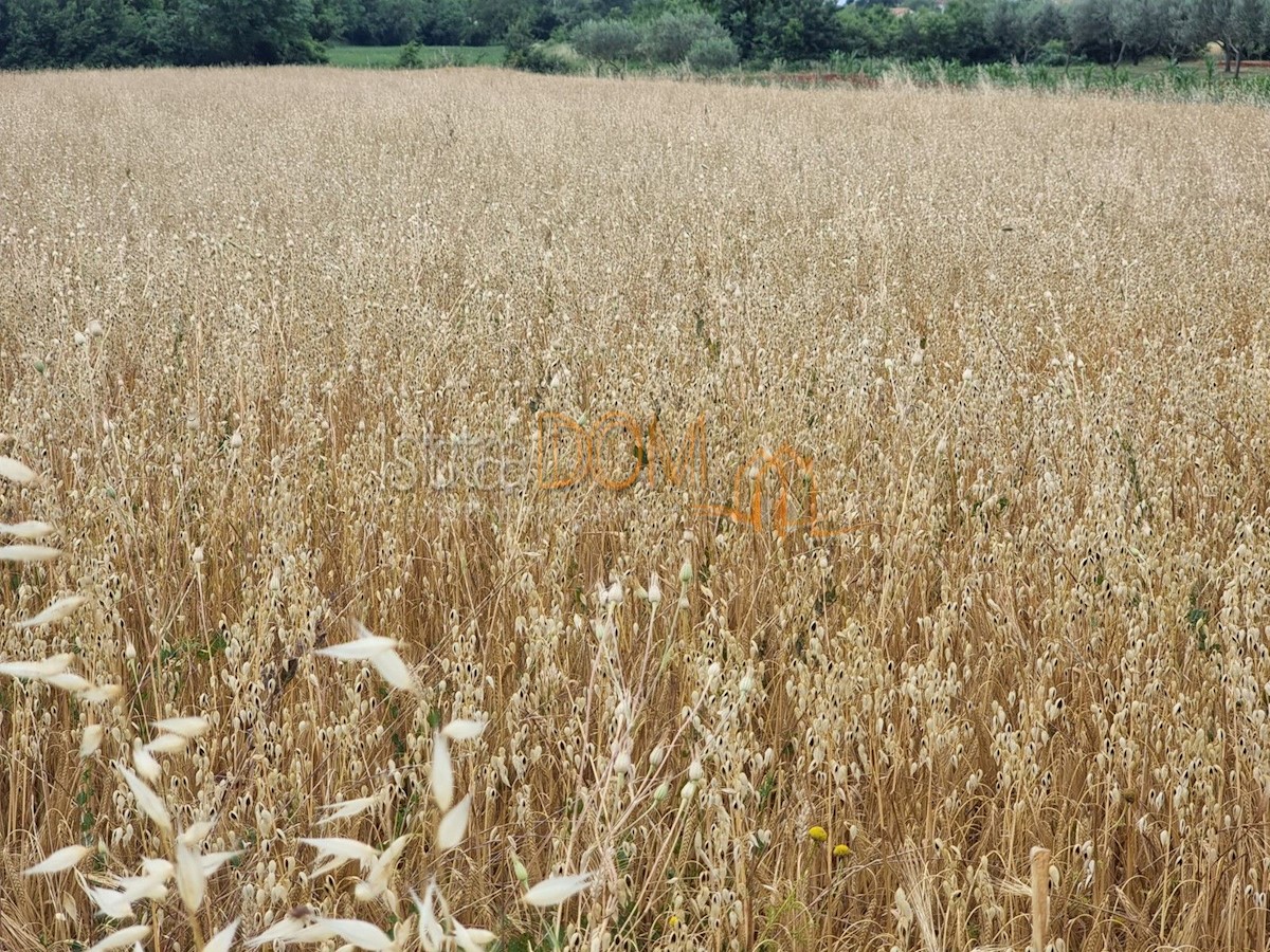 Pozemek Na prodej - ISTARSKA MARČANA