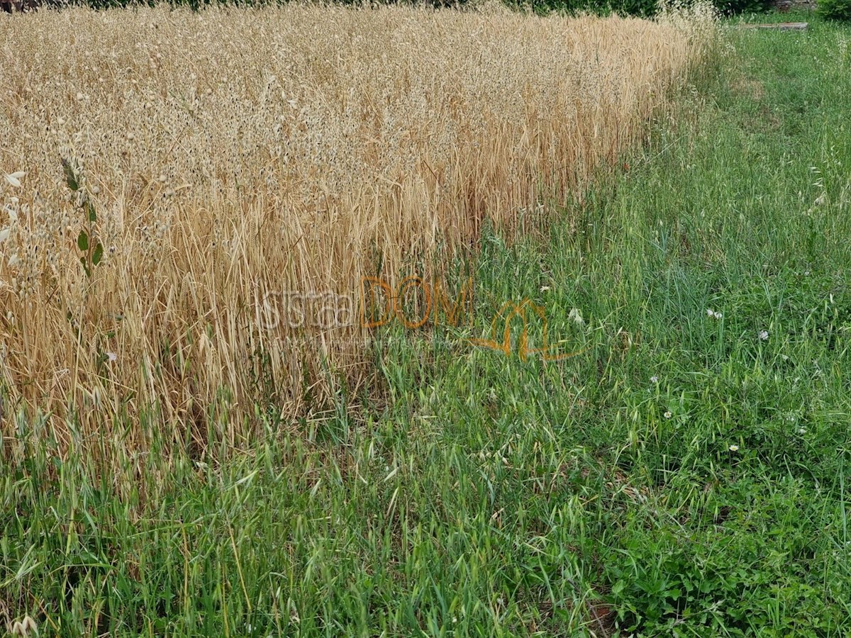 Pozemek Na prodej - ISTARSKA MARČANA