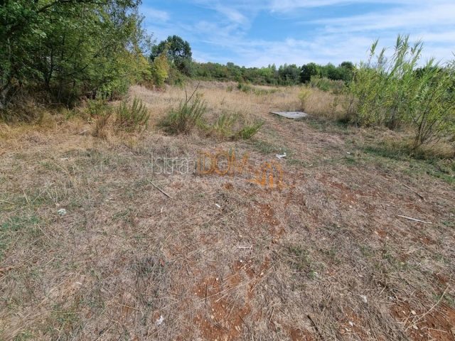 Land for sale 12175 m² – Pula