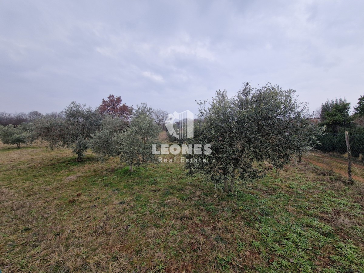 Land For sale - Istarska Umag - foto 1/3