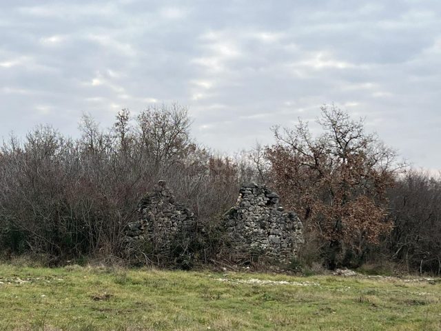 Parcela Naprodaj - Istarska Brtonigla - foto 5/8