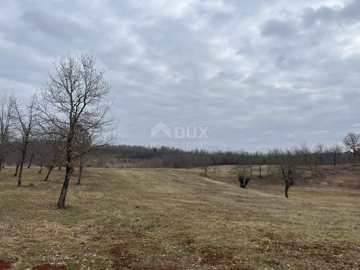 Land For sale - ISTARSKA VIŽINADA