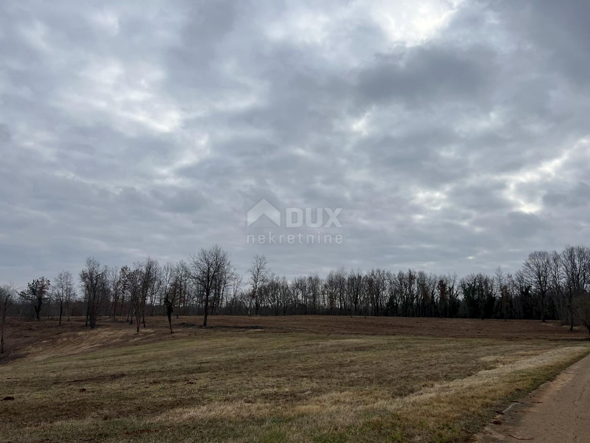 Land For sale - ISTARSKA VIŽINADA