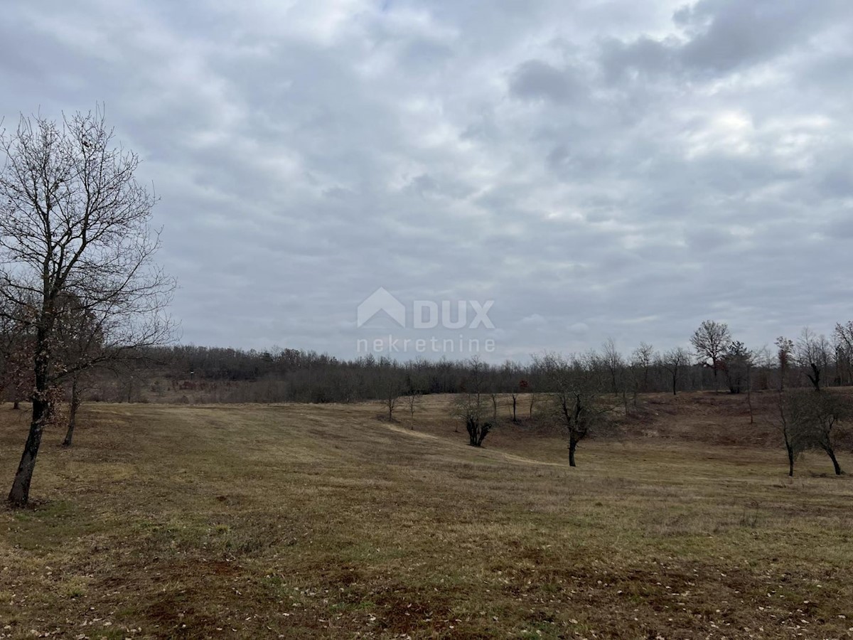 Land For sale - ISTARSKA VIŽINADA