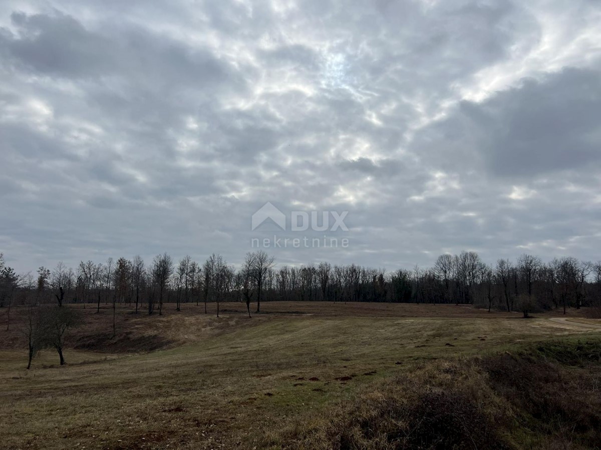 Land For sale - ISTARSKA VIŽINADA