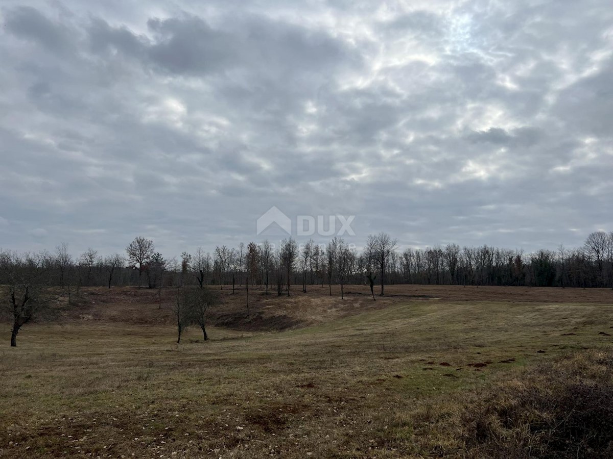 Land For sale - ISTARSKA VIŽINADA